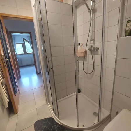 Apartma Storzic Apartamento Tržič