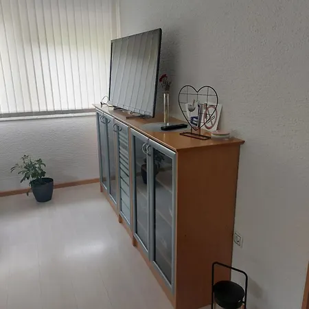 Apartma Storzic *